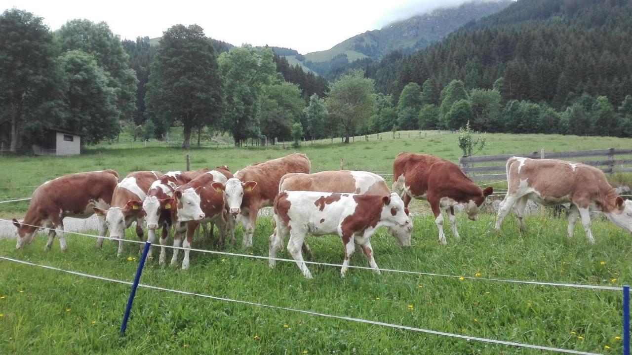 Schiessling Hof Villa Oberndorf in Tirol Eksteriør bilde