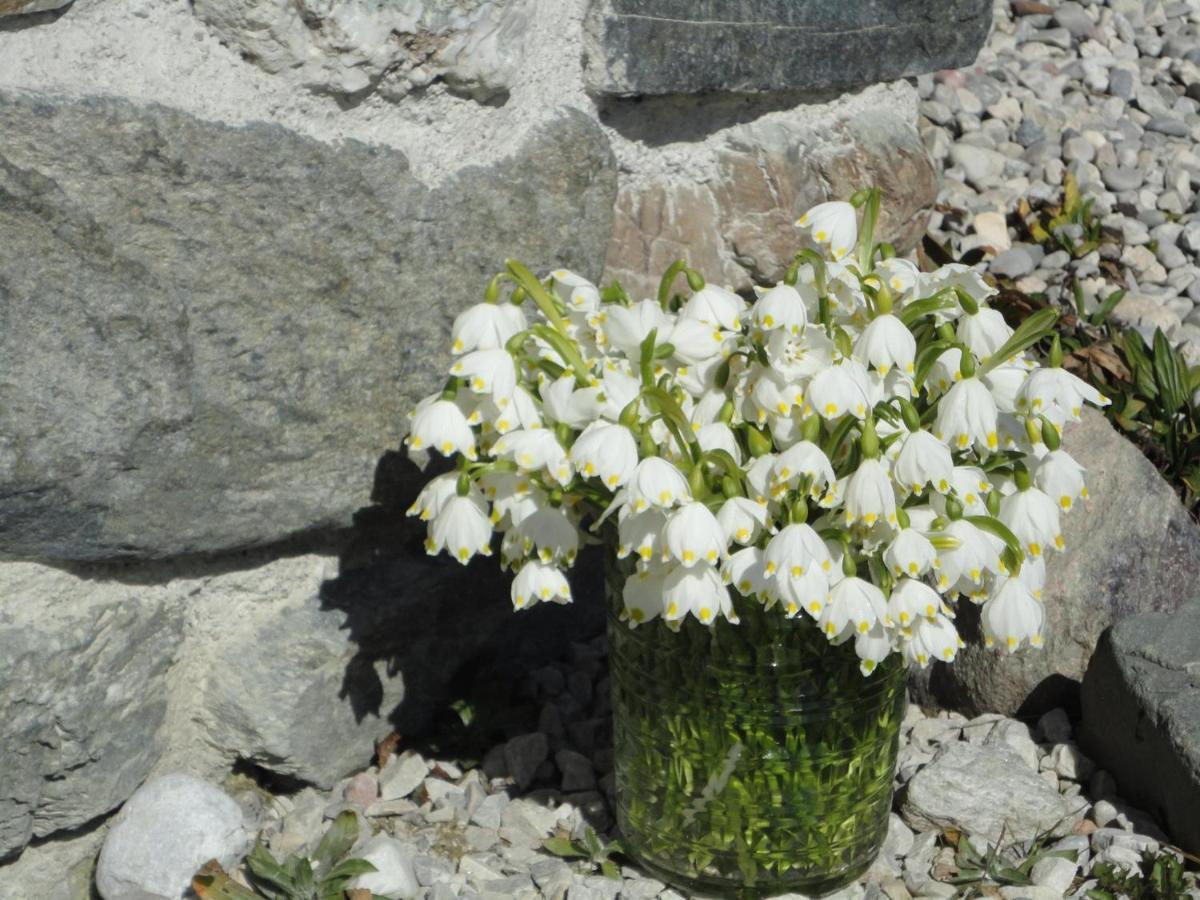 Schiessling Hof Villa Oberndorf in Tirol Eksteriør bilde