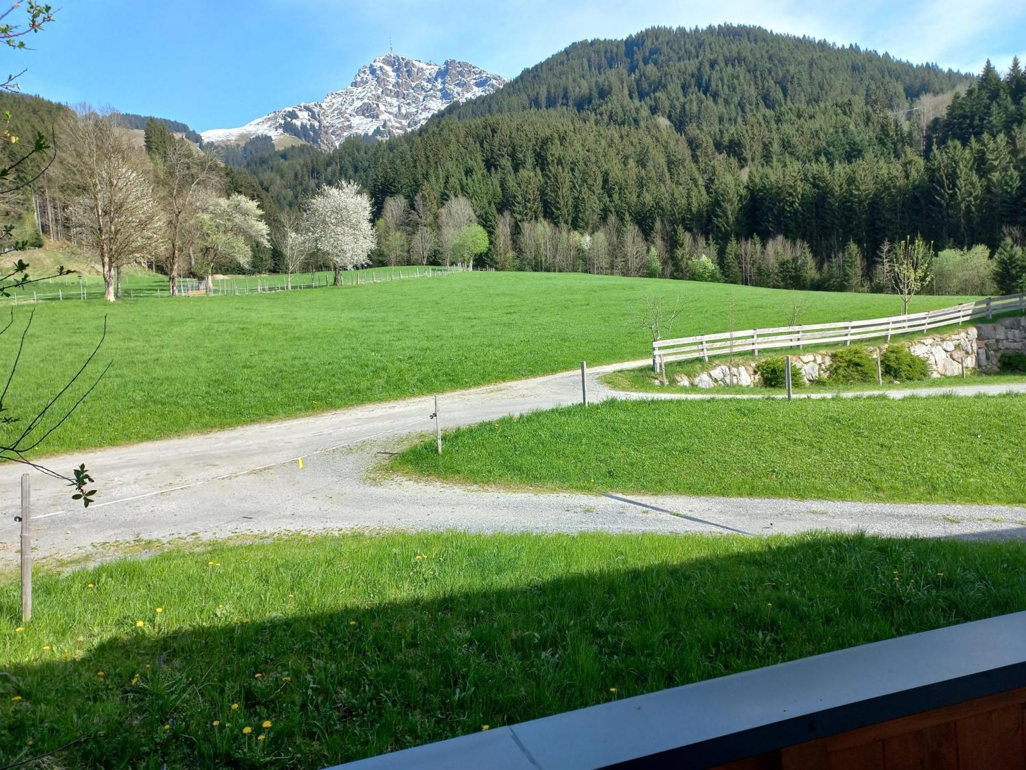 Schiessling Hof Villa Oberndorf in Tirol Eksteriør bilde